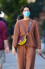 MARY ELIZABETH WINSTEAD Out with Her Dog in New York 11/16/2020