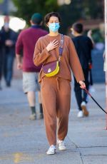 MARY ELIZABETH WINSTEAD Out with Her Dog in New York 11/16/2020