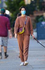 MARY ELIZABETH WINSTEAD Out with Her Dog in New York 11/16/2020