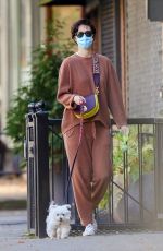MARY ELIZABETH WINSTEAD Out with Her Dog in New York 11/16/2020