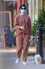 MARY ELIZABETH WINSTEAD Out with Her Dog in New York 11/16/2020