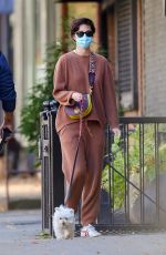 MARY ELIZABETH WINSTEAD Out with Her Dog in New York 11/16/2020