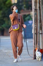 MARY ELIZABETH WINSTEAD Out with Her Dog in New York 11/16/2020