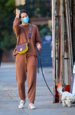 MARY ELIZABETH WINSTEAD Out with Her Dog in New York 11/16/2020