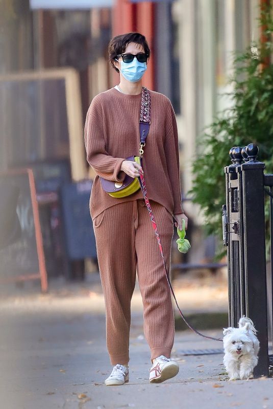 MARY ELIZABETH WINSTEAD Out with Her Dog in New York 11/16/2020