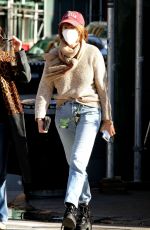 MAYA HAWKE Out and About in New York 11/16/2020
