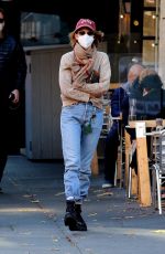 MAYA HAWKE Out and About in New York 11/16/2020