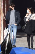 MELANIE SYKES Out in Venice 11/19/2020