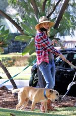 MISSI PYLE Out with Her Dogs in Los Angeles 11/13/2020