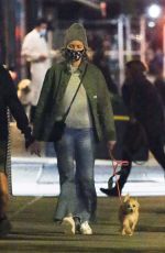 NAOMI WATTS Out eith Her Dog in New York 11/16/2020