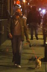 NAOMI WATTS Out eith Her Dog in New York 11/16/2020