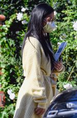 NICOLE SCHERZINGER and Thom Evans Out House Hunting in Los Angeles 11/03/2020
