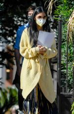 NICOLE SCHERZINGER and Thom Evans Out House Hunting in Los Angeles 11/03/2020
