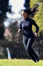 NICOLE SCHERZINGER and Thom Evans Workout at a Park in Los Angeles 11/15/2020