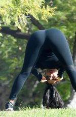 NICOLE SCHERZINGER and Thom Evans Workout at a Park in Los Angeles 11/15/2020
