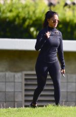 NICOLE SCHERZINGER and Thom Evans Workout at a Park in Los Angeles 11/15/2020