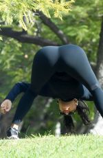 NICOLE SCHERZINGER and Thom Evans Workout at a Park in Los Angeles 11/15/2020
