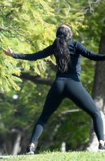 NICOLE SCHERZINGER and Thom Evans Workout at a Park in Los Angeles 11/15/2020