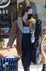 OLIVIA WILDE at a Guitar Store in Los Angeles 11/27/2020