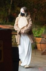 OLIVIA WILDE Out Shopping in Los Angeles 11/13/2020