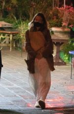 OLIVIA WILDE Out Shopping in Los Angeles 11/13/2020