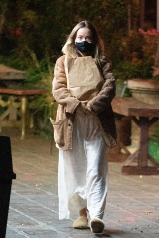 OLIVIA WILDE Out Shopping in Los Angeles 11/13/2020