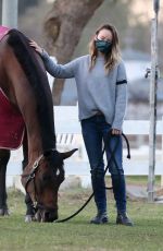 OLIVIA WILDE Visit Her Horse in Los Angeles 11/14/2020