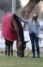 OLIVIA WILDE Visit Her Horse in Los Angeles 11/14/2020