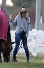 OLIVIA WILDE Visit Her Horse in Los Angeles 11/14/2020