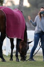 OLIVIA WILDE Visit Her Horse in Los Angeles 11/14/2020
