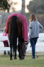 OLIVIA WILDE Visit Her Horse in Los Angeles 11/14/2020
