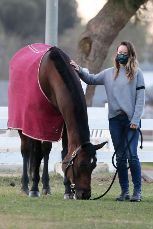 OLIVIA WILDE Visit Her Horse in Los Angeles 11/14/2020
