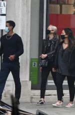 POM KLEMENTIEFF and Simon Pegg Out with Friends in Venice 10/31/2020