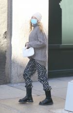 Pregnant ELSA HOSK Out and About in New York 11/20/2020