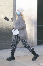 Pregnant ELSA HOSK Out in New York 11/20/2020