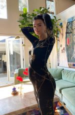 Pregnant EMILY RATAJKOWSKI - Instagram Photos 11/18/2020