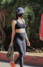 Pregnant EMILY RATAJKOWSKI Out Hiking in Los Angeles 11/27/2020