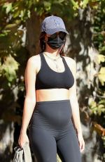 Pregnant EMILY RATAJKOWSKI Out Hiking in Los Angeles 11/27/2020