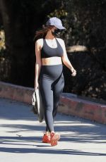 Pregnant EMILY RATAJKOWSKI Out Hiking in Los Angeles 11/27/2020