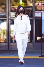 Pregnant EMILY RATAJKOWSKI Out Shopping in Los Angeles 11/29/2020