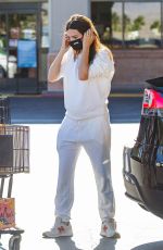 Pregnant EMILY RATAJKOWSKI Out Shopping in Los Angeles 11/29/2020