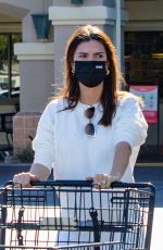 Pregnant EMILY RATAJKOWSKI Out Shopping in Los Angeles 11/29/2020