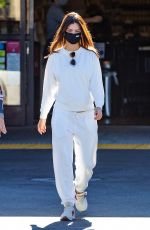 Pregnant EMILY RATAJKOWSKI Out Shopping in Los Angeles 11/29/2020