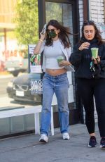 Pregnant EMILY RATAJKOWSKI Out Shopping with a Friend in Los Angeles 11/09/2020