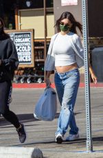 Pregnant EMILY RATAJKOWSKI Out Shopping with a Friend in Los Angeles 11/09/2020
