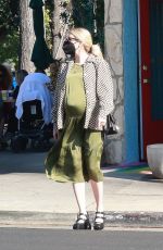 Pregnant EMMA ROBERTS Out Shopping in Los Angeles 11/13/2020