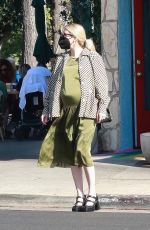 Pregnant EMMA ROBERTS Out Shopping in Los Angeles 11/13/2020