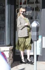 Pregnant EMMA ROBERTS Out Shopping in Los Angeles 11/13/2020