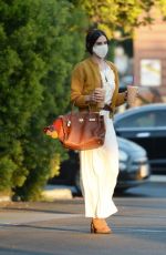 SCOUT WILLIS Out for Coffee in Los Angeles 11/24/2020