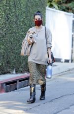 SCOUT WILLIS Out with Her Dog in Los Feliz 11/13/2020